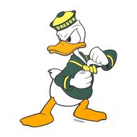 Angry Duck, Vinyl, Transfer Decal, Large